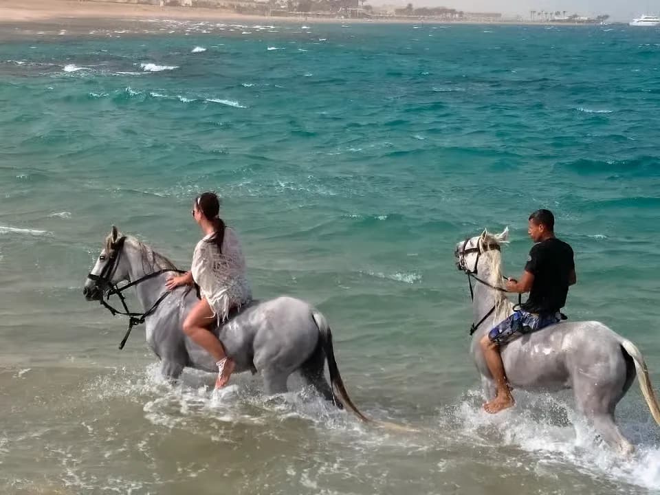 Desert and Sea Horseback Riding Tour with Transfer