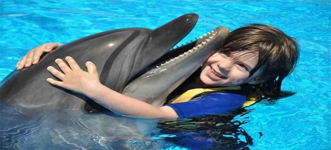 Top Sea Trips for Kids