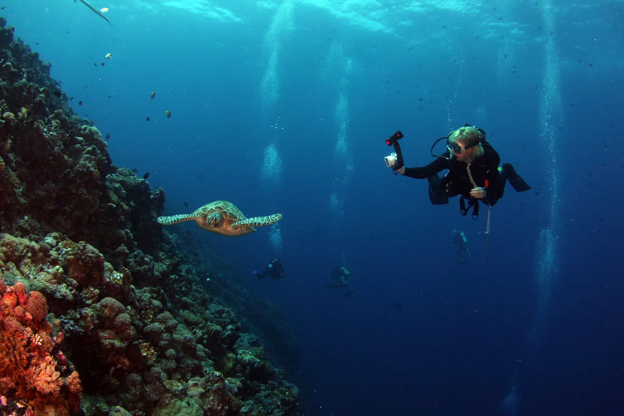 Marsa Alam